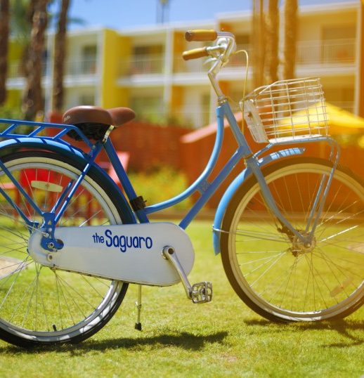 bikes at saguaro