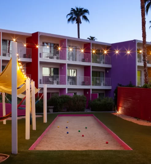 Saguaro at nights with lights.